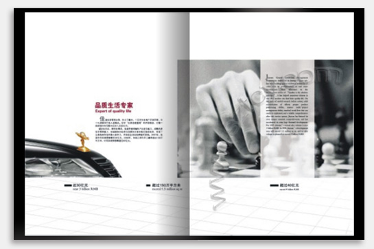 項目：企業(yè)宣傳畫冊 行業(yè)：地產(chǎn)投資