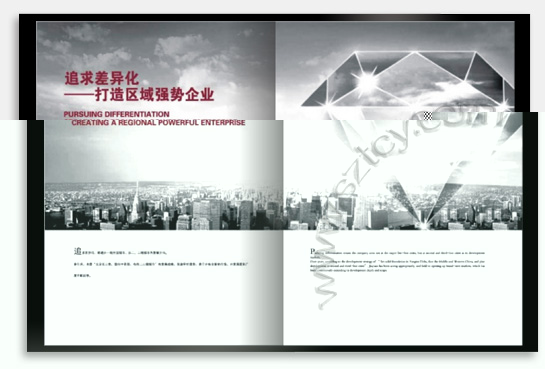 項目：企業(yè)宣傳畫冊 行業(yè)：地產(chǎn)投資